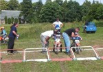 021439_linke_50