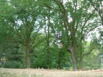 DSCF0014