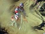 mx95-belling05_(83)