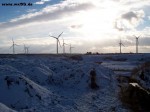nienbuhr021