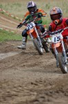 mx95de006