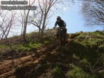 Anne_135