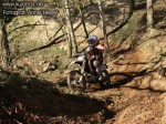 Anne_153