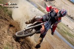 frank_019