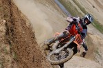 frank_020