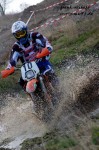 frank_072