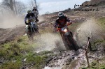 frank_077