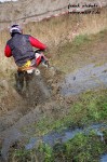 frank_084