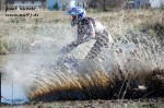 frank_098