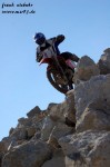 frank_113