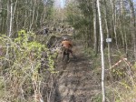 dahlen_12~0