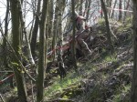 dahlen_41~0