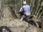 dahlen_45~0
