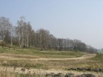 090405_005