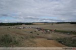 DSC00123
