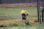 2010-11-07_105