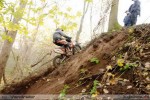 2010-11-07_237