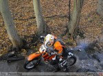 2010-11-07_316