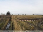 2010-11-07_326