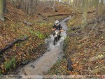 2010-11-07_327
