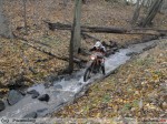 2010-11-07_337