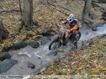 2010-11-07_339