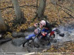 2010-11-07_341