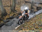 2010-11-07_342