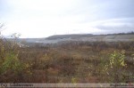 2010-11-13_016