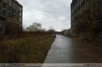 2010-11-13_132
