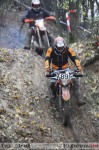 2010-11-13_226