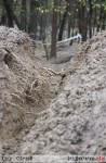 2010-11-13_243