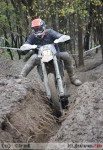 2010-11-13_245