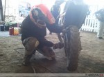 2011-08-11_27