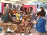 2011-08-12_15